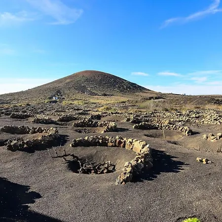 Clara Lanzarote - Macaronesiahomes * Tegoyo